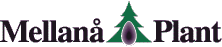 Mellan Plant