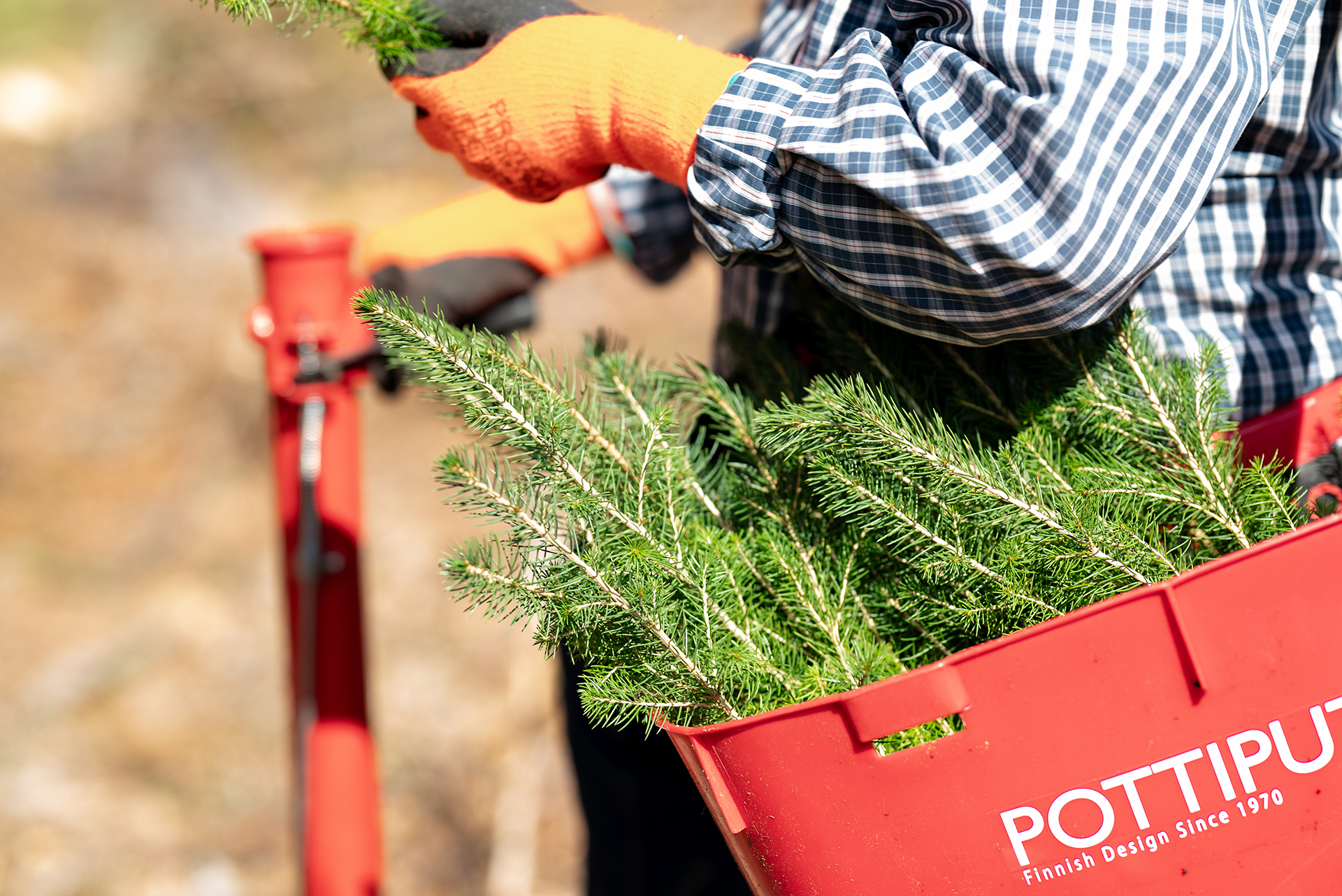 Mellanå Plant kevätistutus