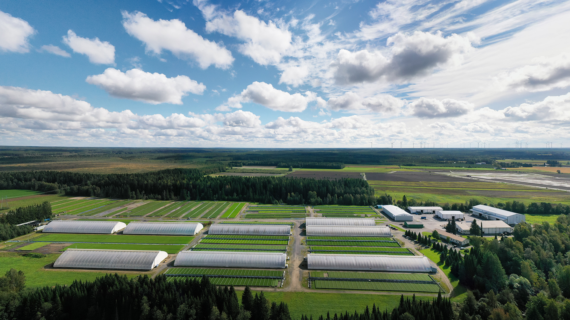 Lentokuva Mellanå Plant